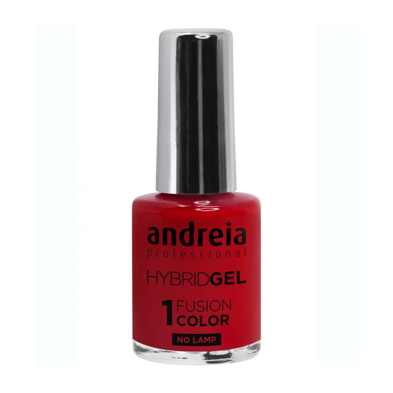 Andreia Hybrid Gel Fusion Color H31 10,5 ml