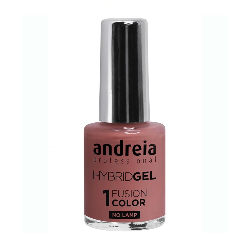 Andreia Hybrid Gel Fusion Color H62 10,5 ml