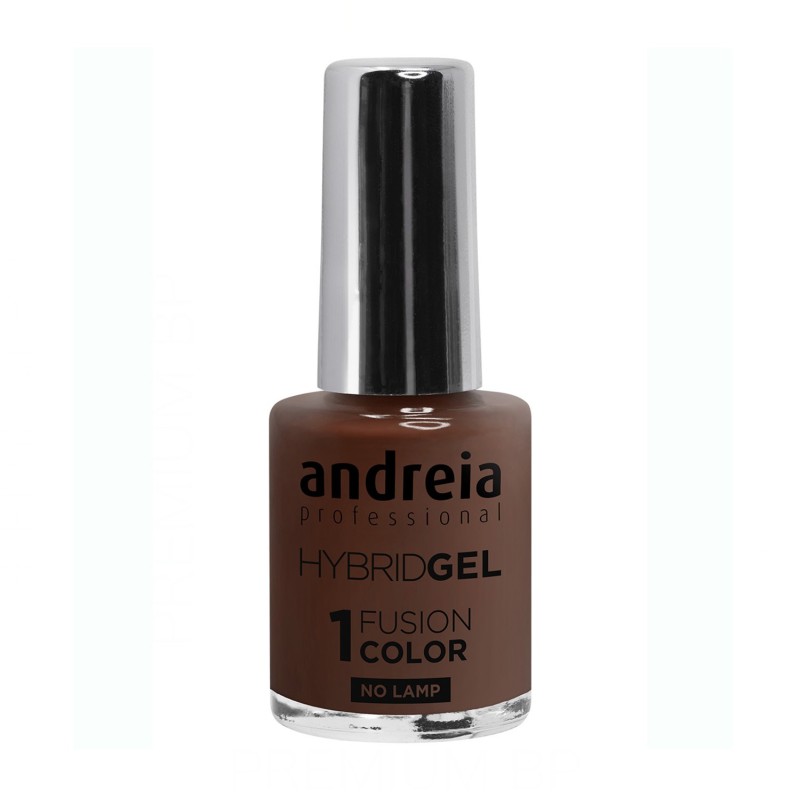 Andreia Hybrid Gel Fusion Color H66 10,5 ml