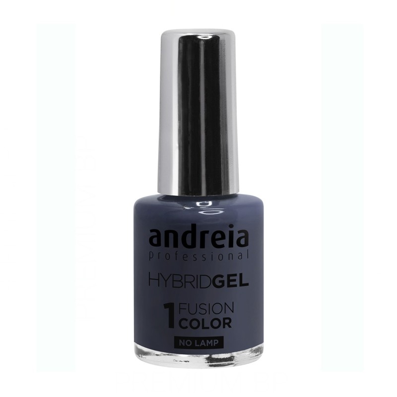 Andreia Hybrid Gel Fusion Color H81 10,5 ml