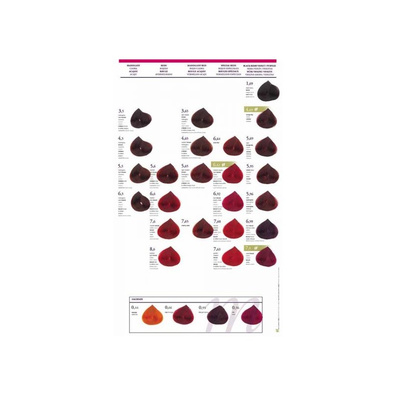 Carta de Color Tintes Salerm