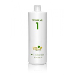 HAIRCONCEPT ELITE EVOLUTION ORGANIC COLOR Nº 1 ACTIVATOR BATH 990 ML