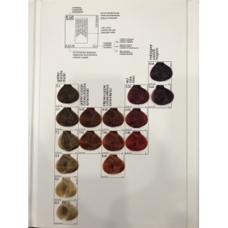 CARTA DE COLOR HC TINTE DE PELO PICTION XL HAIRCONCEPT