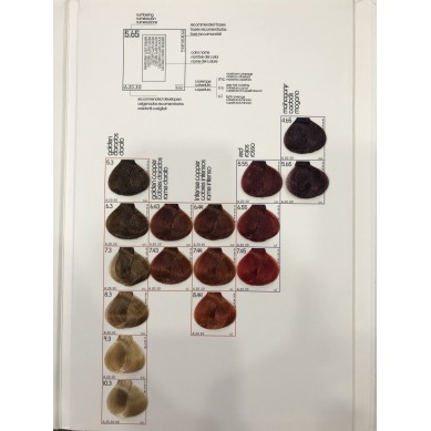 CARTA DE COLOR HC TINTE DE PELO PICTION XL HAIRCONCEPT