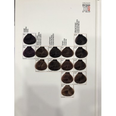 CARTA DE COLOR HC TINTE DE PELO PICTION XL HAIRCONCEPT