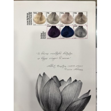 CARTA DE COLOR HC TINTE DE PELO PICTION XL HAIRCONCEPT