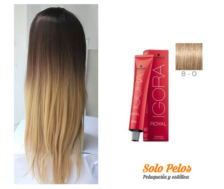 novedades peluqueria 2018-2019