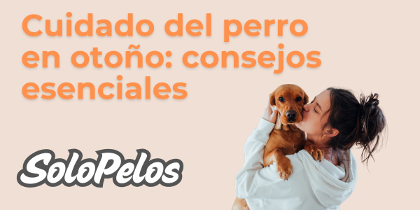 Cuidado del perro en otoño: consejos esenciales y productos especializados