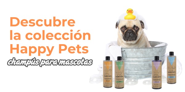 Descubre los nuevos champús para mascotas de Valquer